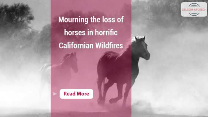 8a horrific Californian Wildfires