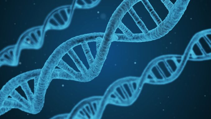 dna-1811955_1920