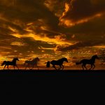 sunset-3002030_1920